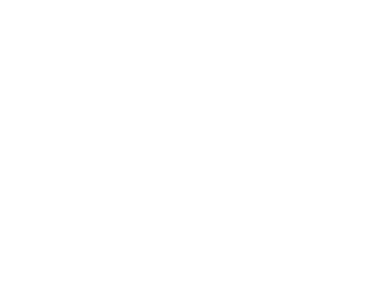A ZONE Logo